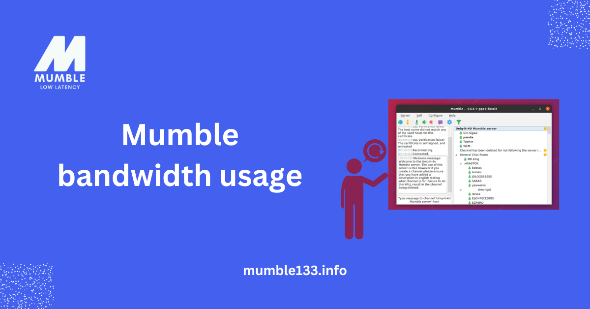 Mumble bandwidth usage